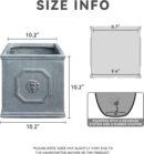 Square Lion Head Concrete Planter, Classic English Style Plant Pot with Drainage Hole and Rubber Plug for Indoor Outdoor Garden Patio Home, 10.2"x10.2"x 10.2" Antique Gray