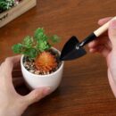 Mini Garden Tool Set, 6Pcs Indoor Plant Tools Gardening Metal Shovel Rake Spade with Wood Non-Slip Handle for Transplanting Cultivating Weeding Flowers Vegetable