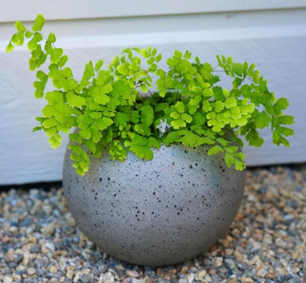 Modern Concrete Sphere Planter for Indoor and Outdoor Potted Plants, Strong, Lightweight, Contemporary Design, 8" (Small) - Image 2